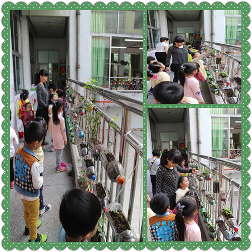 IMG_9781_副本.jpg